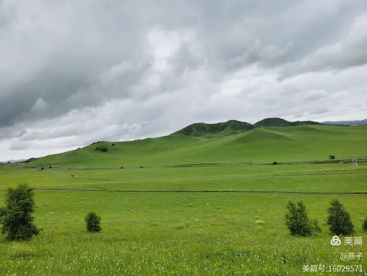 七月，醉美草原